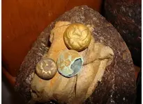 cordrdbuttons.webp