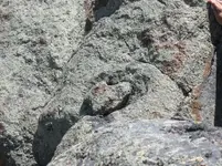heart in rock.webp