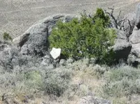 flat shiny white rock.webp