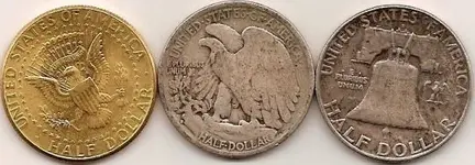 020207 Silver Back.webp