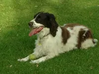 Cody 4.webp