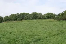 Ring fort#2.webp