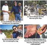 ring dig 2a.webp