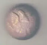 eaglebutton.webp