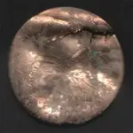 LQ\'s copper cap.webp