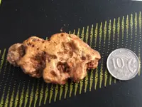 5 oz.webp