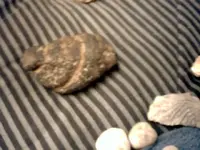 fossi3004.webp