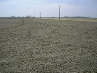 Old Church site.webp