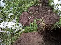 Scarborough Park - Day 4 003.webp