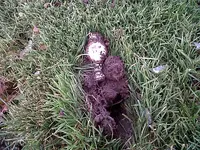 Scarborough Park - Day 4 005.webp