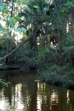 2011-10-30_18-14-16_265.webp