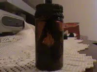 pirate costume and old bottle 029.webp