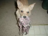 P1010031.webp