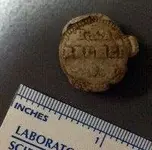 Seal side 2.webp