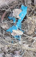 blue substance.webp