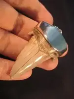 fossil-shark-tooth-pendant.webp