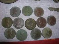 DSCN5057.webp