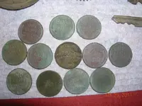 DSCN5058.webp