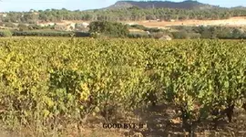 15-20 octubre 2011 003.webp