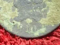 SUC50009.webp