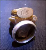 sept rings B.webp