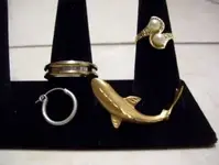 golden shark.webp