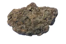 Ambergris view 1.webp