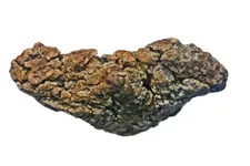 Ambergris 4.webp