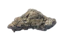 Ambergris 3.webp
