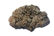 Ambergris 2.webp