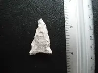 DSCF0741.webp