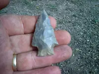 1009111357c.webp
