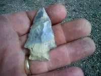 1009111357d.webp