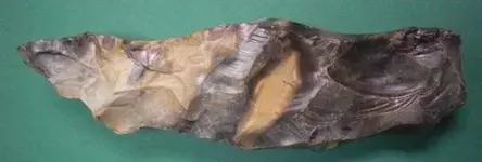 dk 044.webp