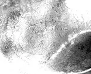 ENGRAVED  CLIPPED CORNER BELT PLATE 032.webp