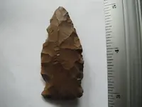 DSCF0744.webp