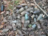 canon 1467.webp