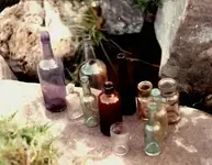 BOTTLES.webp