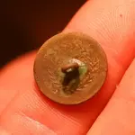 NH FINDS 11-20 011.webp