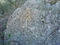 thumb.webp