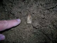 DSCN4320.webp