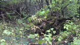 2011-10-02_12-06-29_231.webp