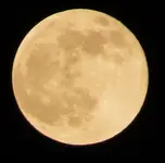 orangemoon.webp