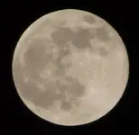 Whitemoon.webp