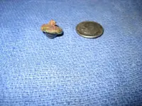 IMG_3327.webp IMG_3327.webp