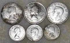 Scarborough Park Finds - November.webp