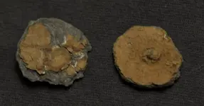 Pewter Buttons.webp