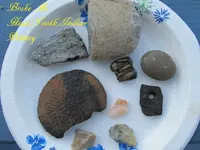 IMG_0061[1].webp