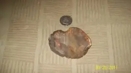 Possible Scrapper3.webp