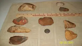 Various Flint Pieces.webp